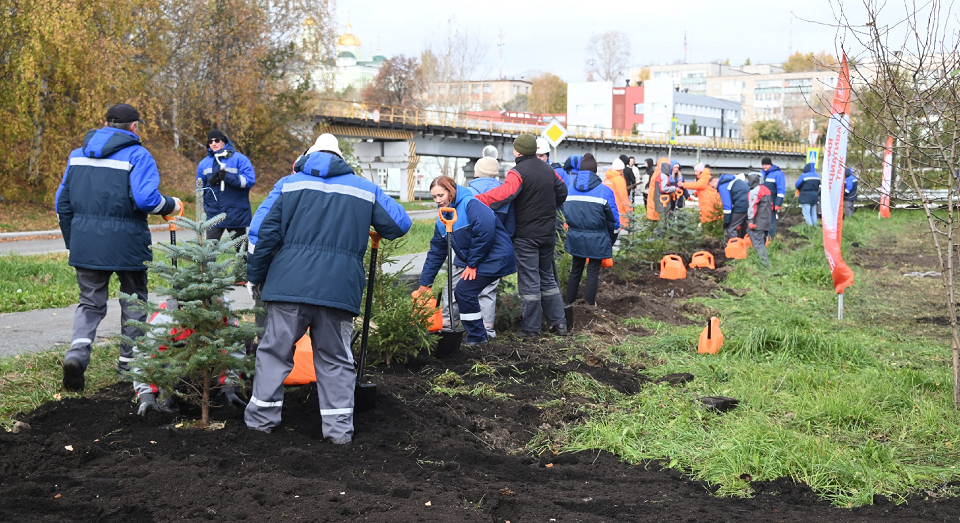На СТЗ высадили новую аллею
