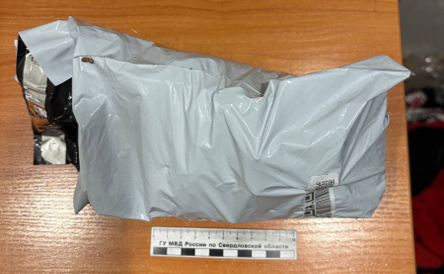 Мигрант-наркоторговец отправился в СИЗО