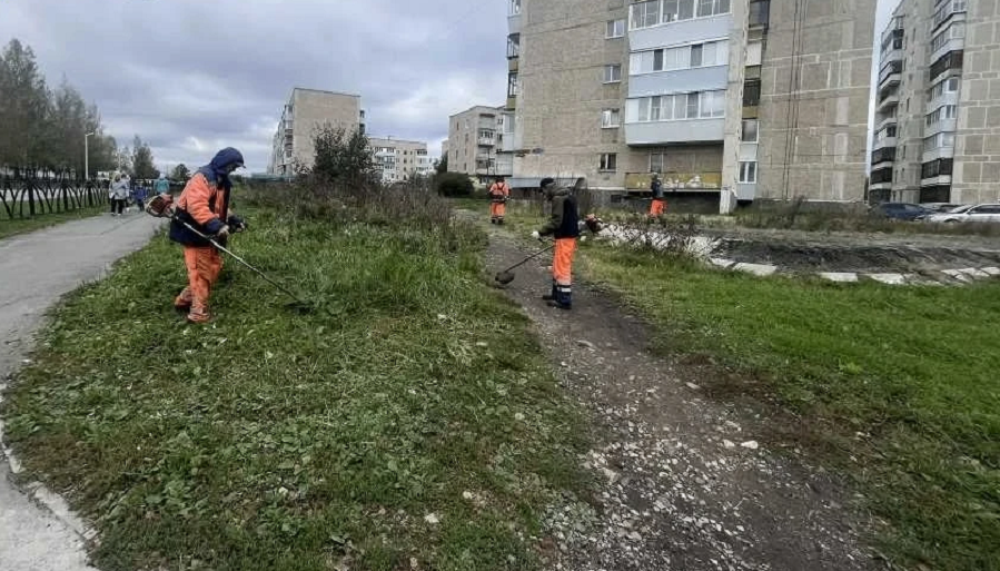 Навести чистоту и ждать зимы. Осенняя уборка в Полевском в разгаре!