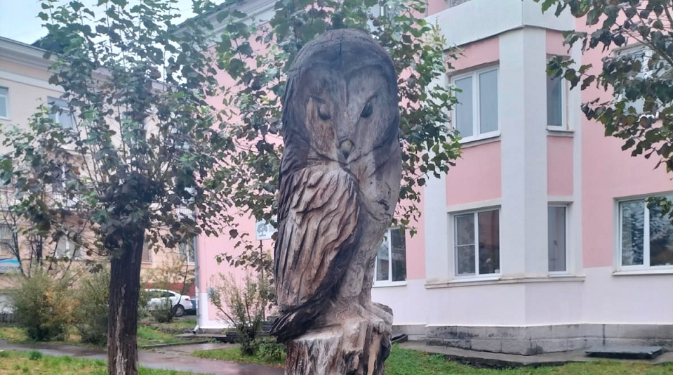 Совенок нашелся на перекрестке после уборки и обрезки деревьев!